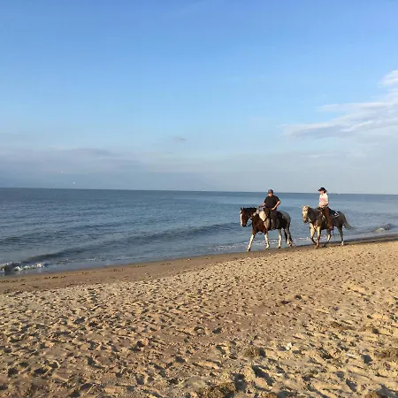 Family 200m From 3 Bedrooms 2 Bathrooms Terrace